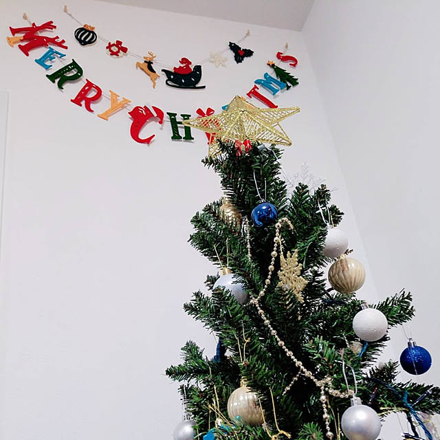 クリスマス/リビングのインテリア実例 - 2019-12-23 00:03:57