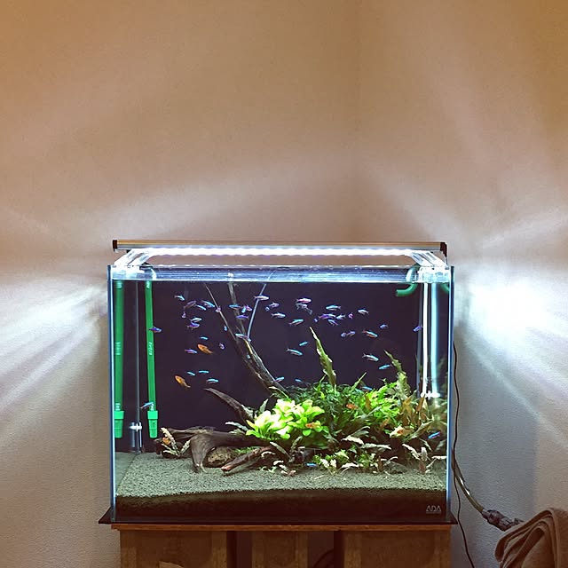 kawaさんの実例写真