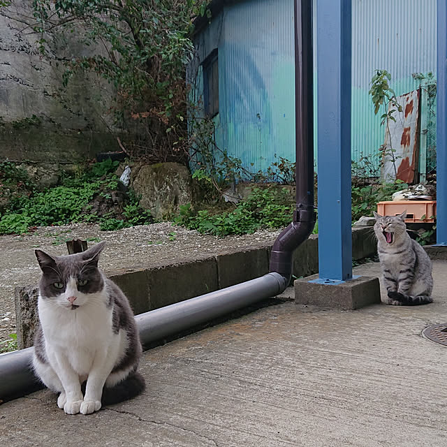 mugi77327732さんの実例写真