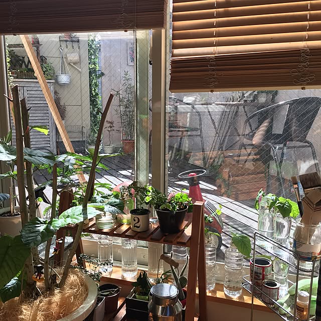 makoriさんの実例写真