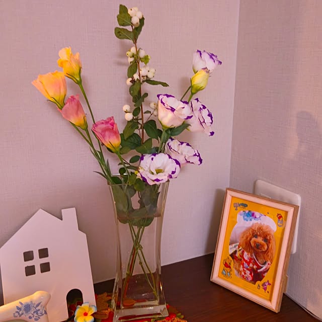 erisavesu4さんの実例写真