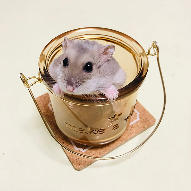 smoopyさんの実例写真