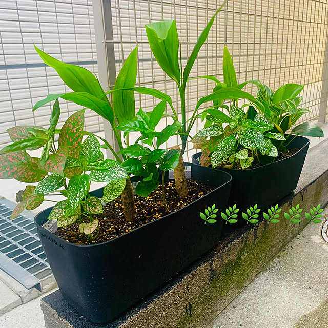 tututu0204さんの部屋