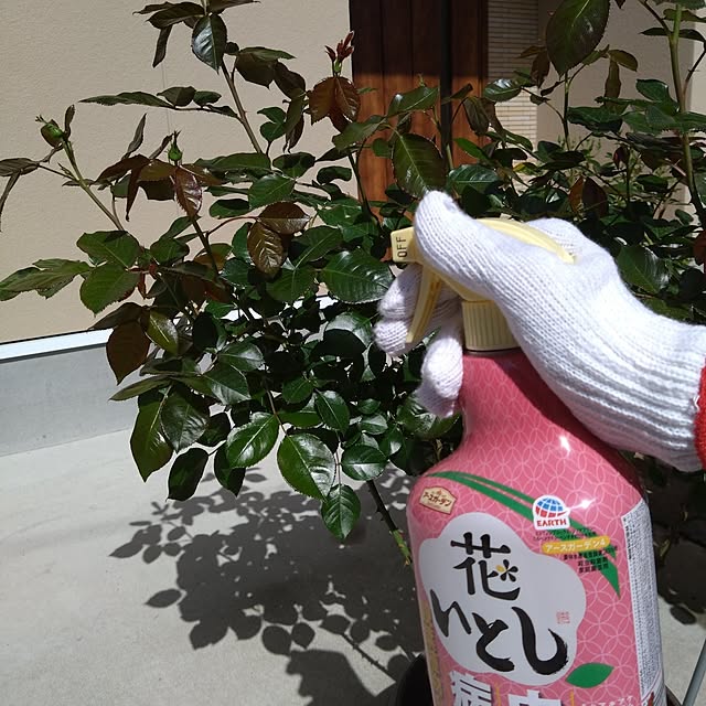 odecomaikoさんの部屋