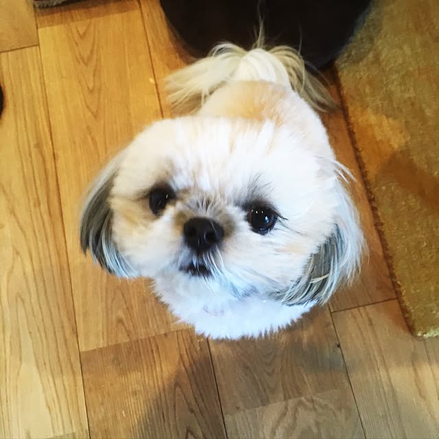 Hiroさんの実例写真