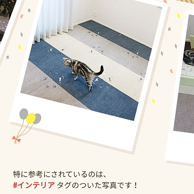 NANACOCOさんの実例写真