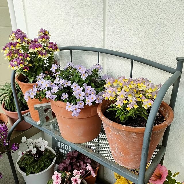 VERANDARJUNさんの実例写真
