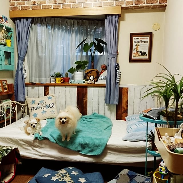 yukaさんの実例写真