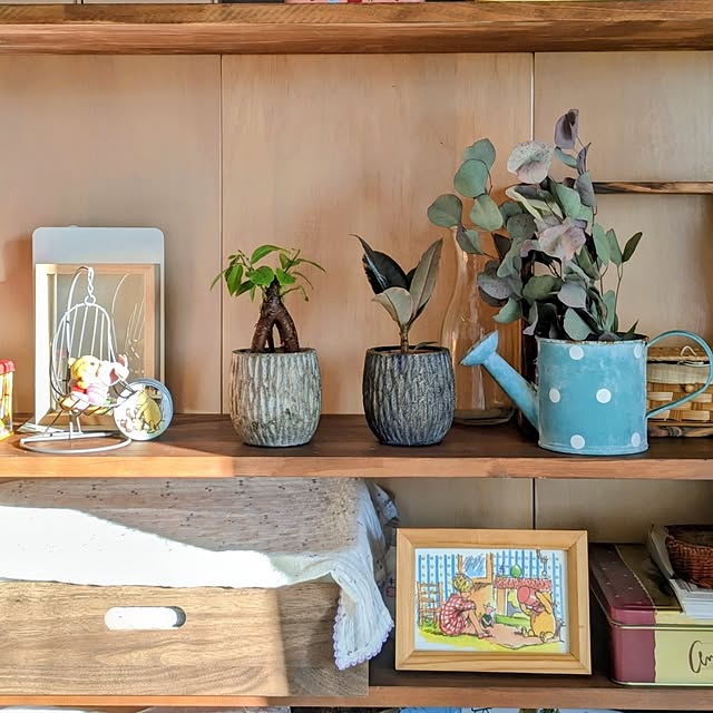 mi-saさんの部屋