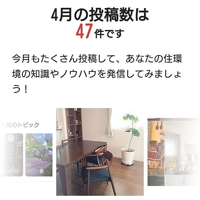 tan5さんの実例写真