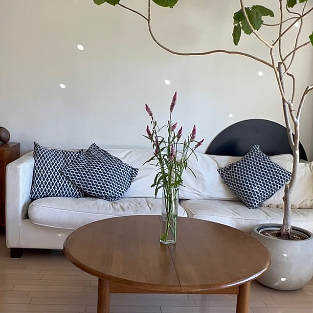 BigWinksさんの実例写真