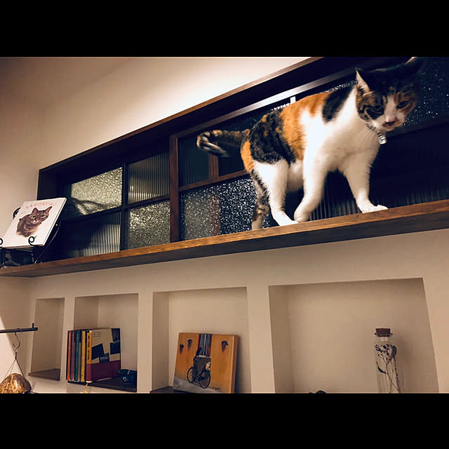 Maruさんの実例写真