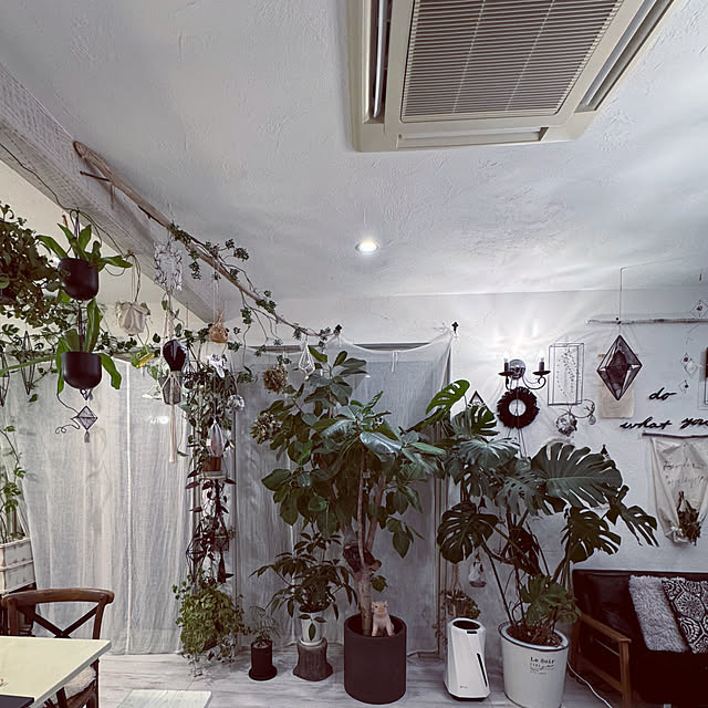 usakoさんの部屋