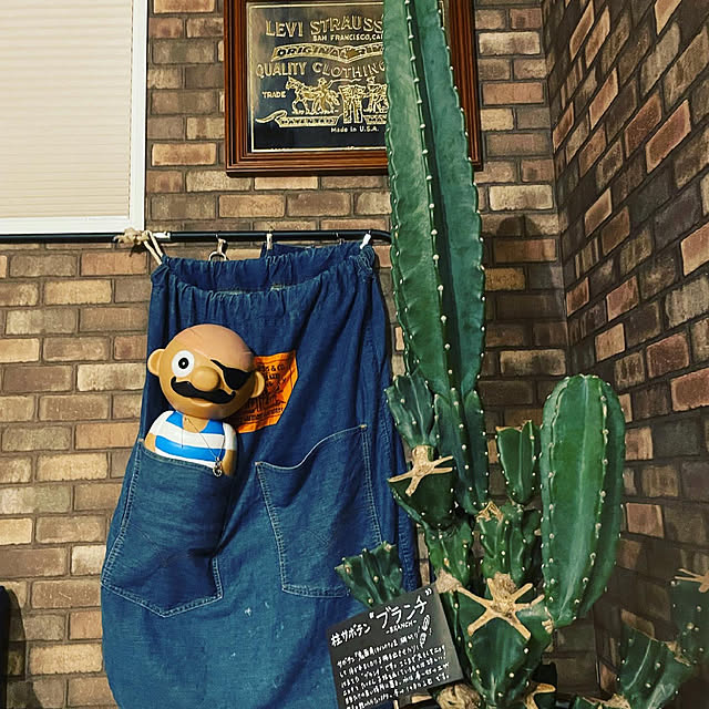 POYOさんの実例写真