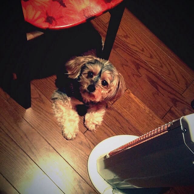 r-mishさんの実例写真