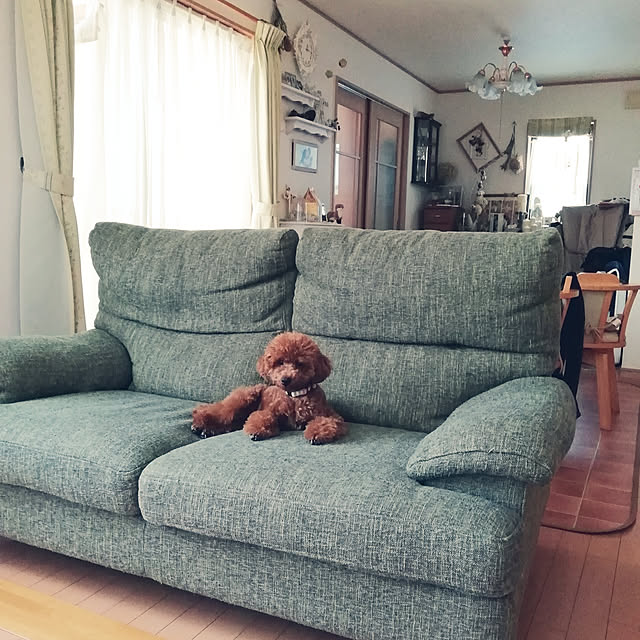 satochiさんの実例写真