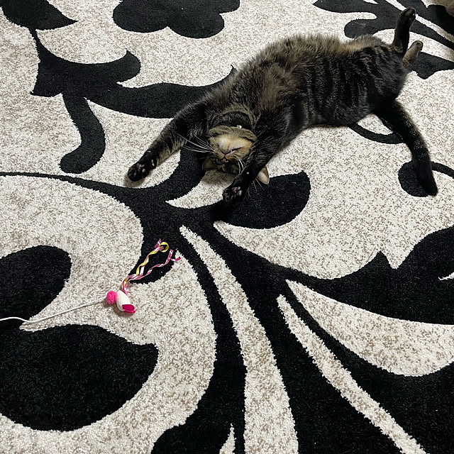momocchiさんの部屋