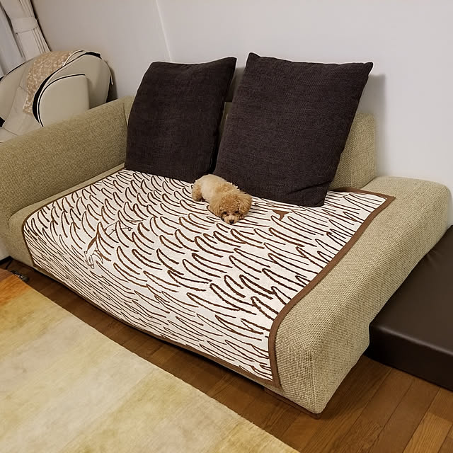 Tomo_16さんの実例写真