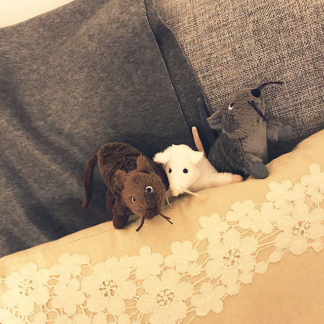 koro5oさんの実例写真