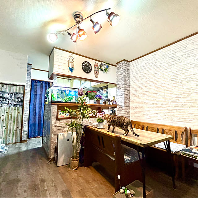 tututu0204さんの実例写真