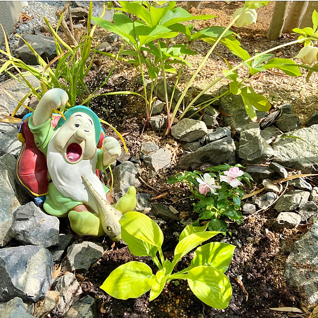 fumofumoさんの実例写真