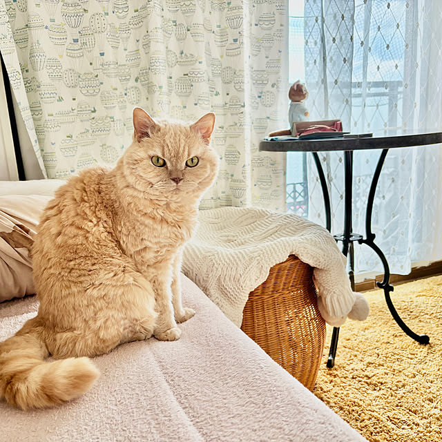 naokoさんの実例写真