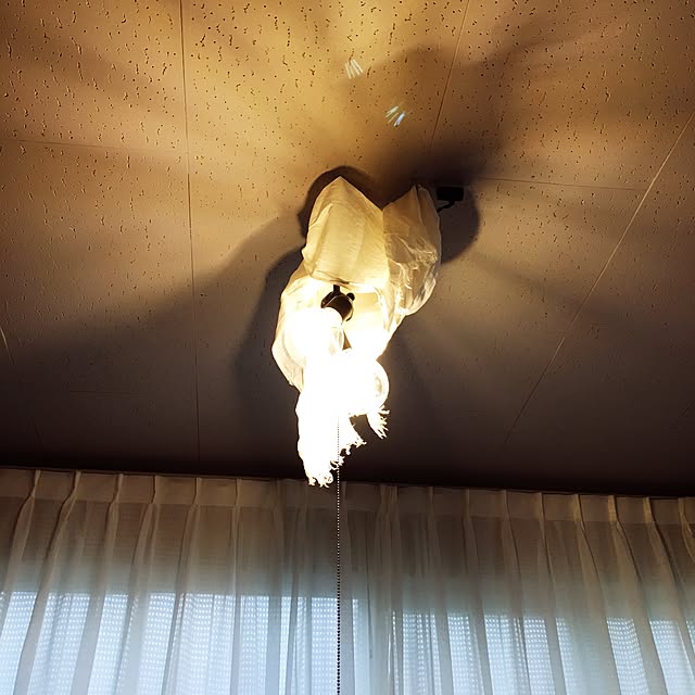 Shihoさんの実例写真