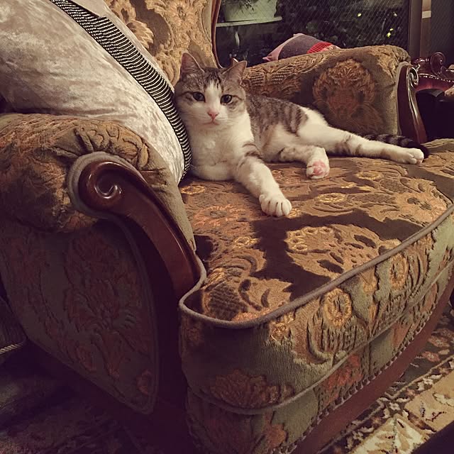 emmyyさんの実例写真