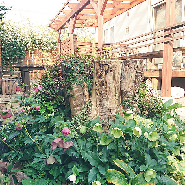 masayoさんの実例写真