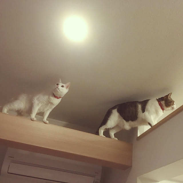 karenさんの実例写真
