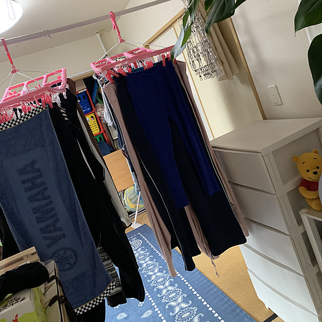 momoさんの実例写真