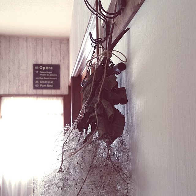 Miwaさんの実例写真