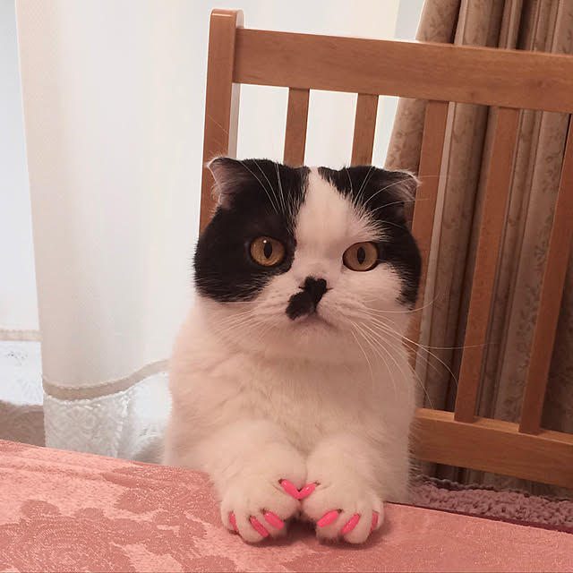 pinaminさんの実例写真