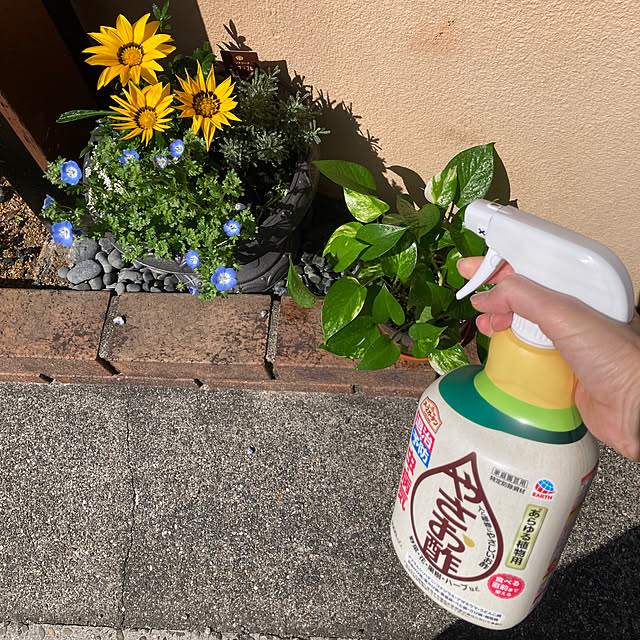 Omachanさんの部屋