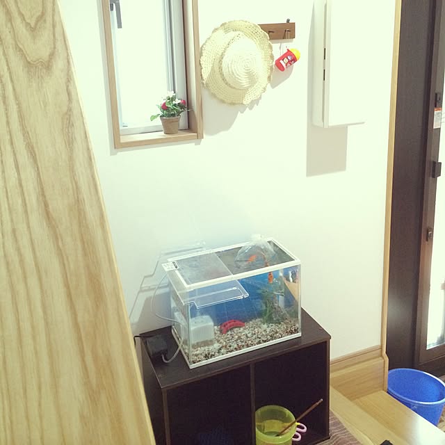Makiさんの実例写真
