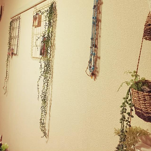 10さんの実例写真