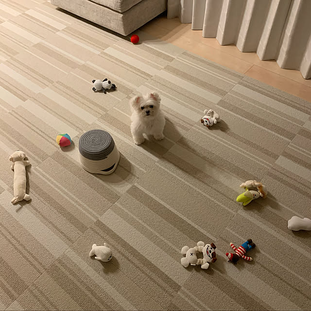 M.Cさんの実例写真