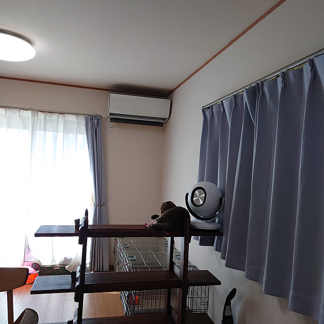 noguriさんの実例写真