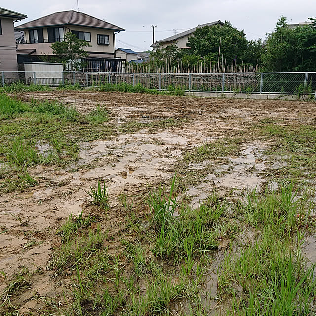 manekinekoさんの実例写真