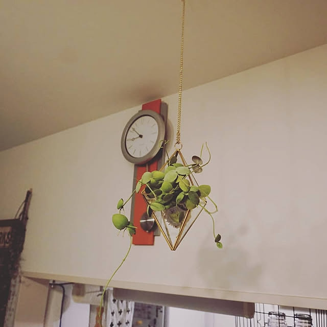 onigiripuripuriさんの実例写真