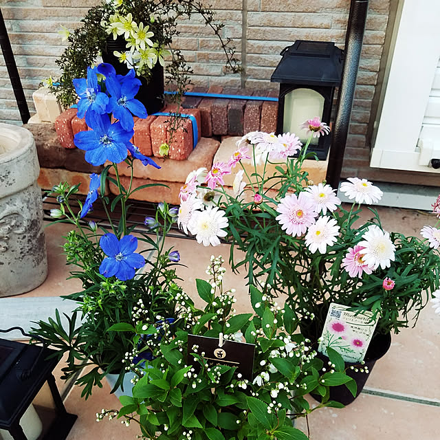 A.hさんの実例写真