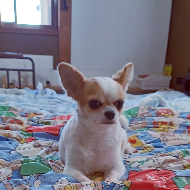 hiro-yさんの実例写真