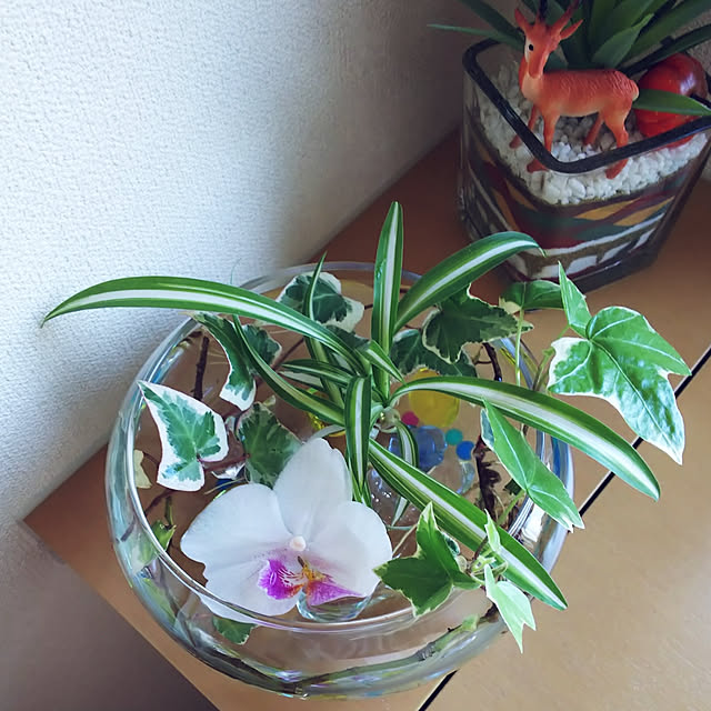 akiwaka-roomさんの実例写真