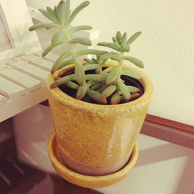 suuさんの実例写真