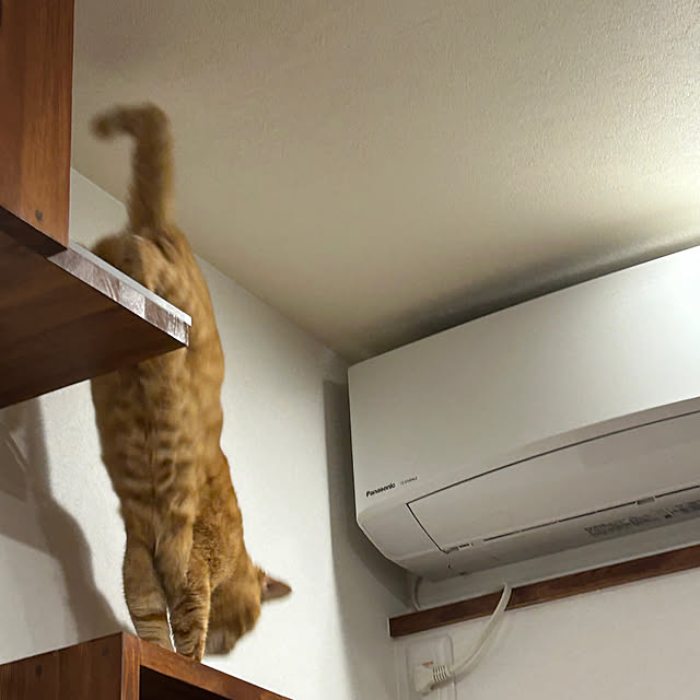 mikeume7さんの部屋