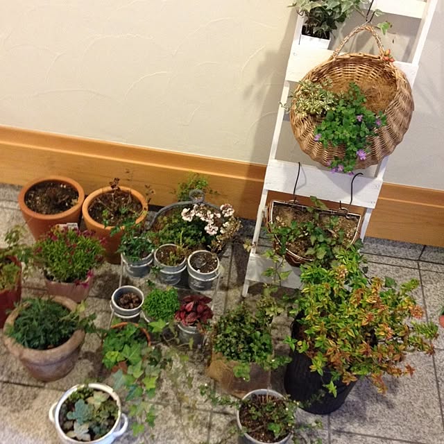 naoさんの実例写真