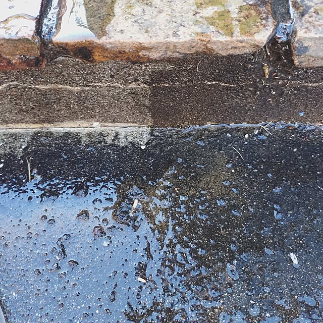 urchinさんの部屋