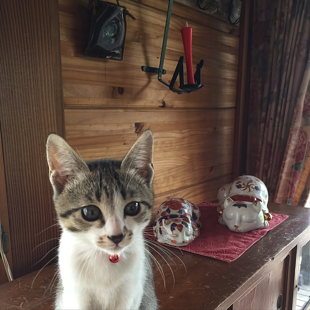 chamさんの実例写真