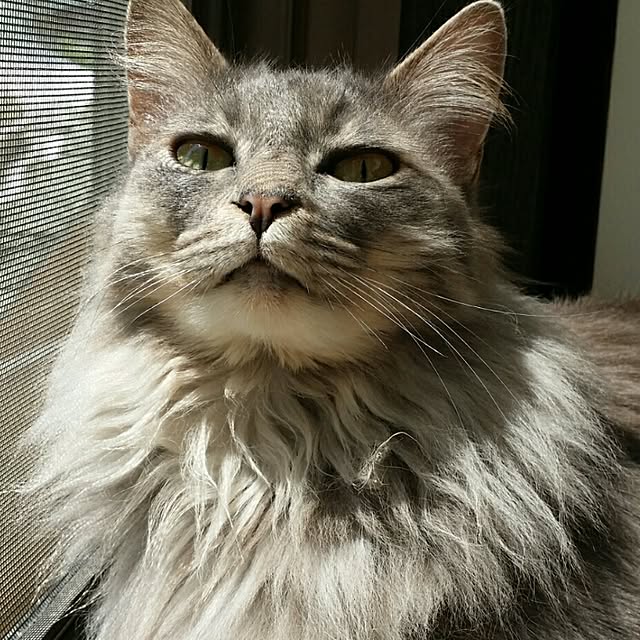 lecielさんの実例写真