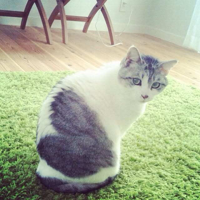 Tomo3さんの実例写真